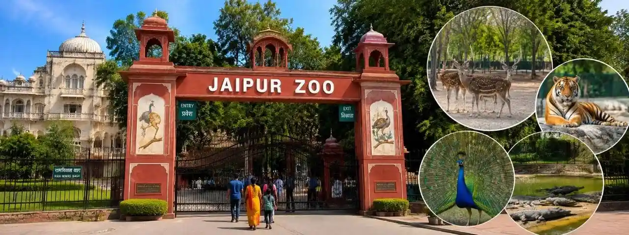 Jaipur Zoo entrance view with animals and greenery in Jaipur Rajasthan